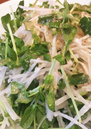 豆苗と大根の節約サラダ-レシピのメイン写真