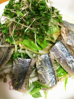 秋刀魚☆大根水菜のマリネ サラダ-レシピのメイン写真