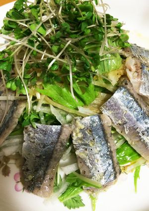 秋刀魚☆大根水菜のマリネ サラダ-レシピのメイン写真