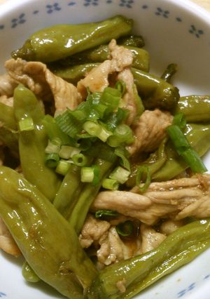 簡単!豚肉と ししとうの胡麻油で甘辛炒め-レシピのメイン写真
