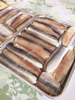 コノシロの魚寿し-レシピのメイン写真