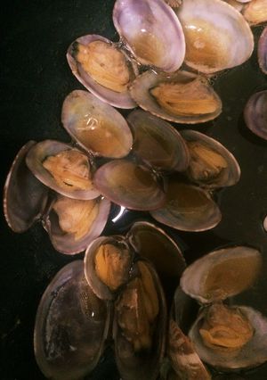 あさりの酒蒸し-レシピのメイン写真