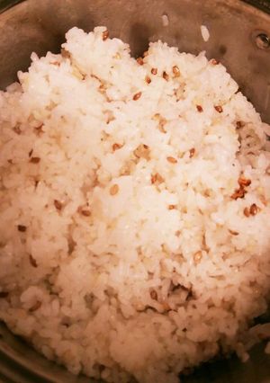 お鍋で炊いて！ふっくらもち麦ごはん-レシピのメイン写真