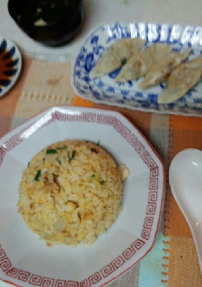 血管ダイエット食538（無油ギョーザ）-レシピのメイン写真