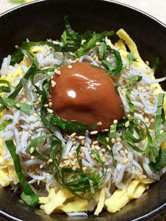 ☆しらす丼☆-レシピのメイン写真
