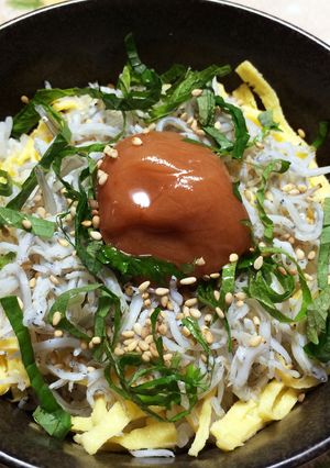 ☆しらす丼☆-レシピのメイン写真