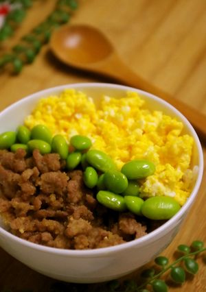 新あさひ粉豆腐でそぼろ丼♪-レシピのメイン写真