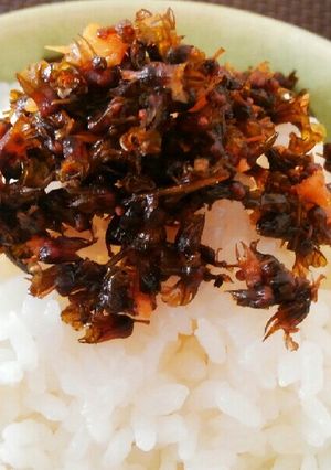 シソの実佃煮♪～ご飯が進む生姜醤油酢漬け-レシピのメイン写真