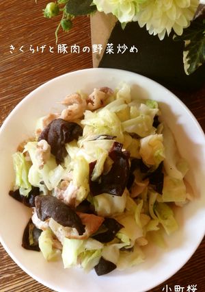 きくらげと豚肉の野菜炒め-レシピのメイン写真