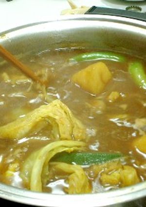 三日三晩でも楽しめる魅惑のカレー鍋♪-レシピのメイン写真
