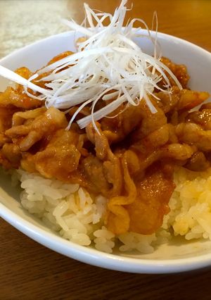豚の生姜焼き丼-レシピのメイン写真