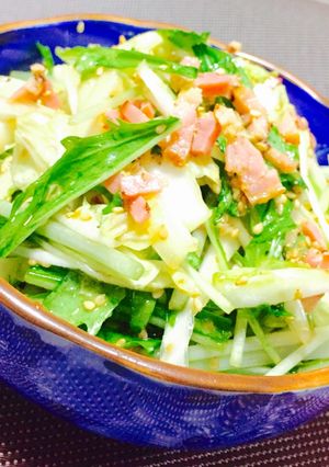 お鍋の具材から〜白菜と水菜の和風ナムル♪-レシピのメイン写真