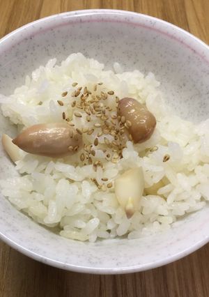 落花生ごはん-レシピのメイン写真