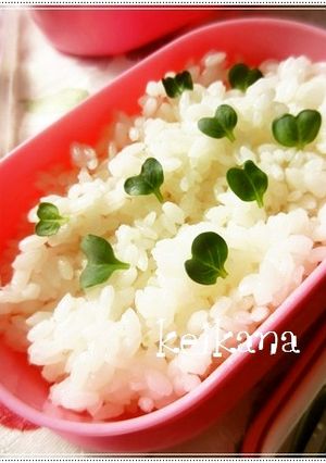 お弁当の彩に☆かいわれ大根でハートごはん-レシピのメイン写真
