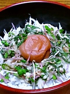ごま油が効いた薬味たっぷりの梅しらす丼-レシピのメイン写真
