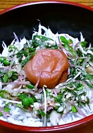 ごま油が効いた薬味たっぷりの梅しらす丼-レシピのメイン写真