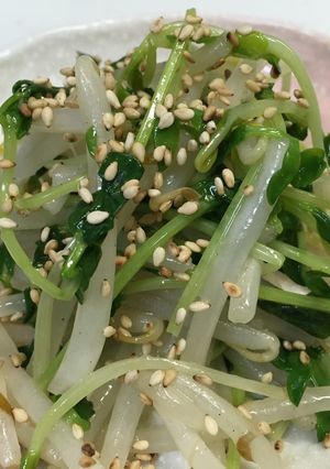 簡単‼モヤシと豆苗のナムル-レシピのメイン写真