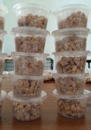 海外でこそ手作り納豆-レシピのメイン写真