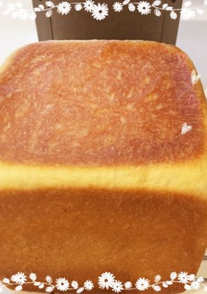 アルタイト型で作る角食パン(1斤)-レシピのメイン写真