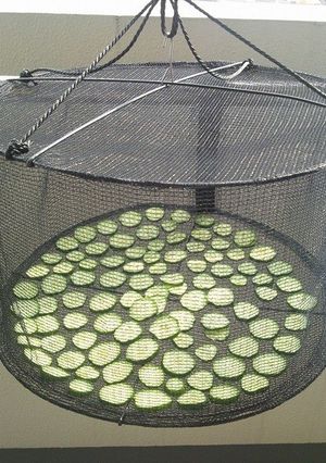干し野菜(きゅうり、大根)-レシピのメイン写真