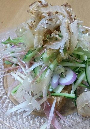 厚揚げのしゃきしゃき野菜てんこ盛り♪-レシピのメイン写真