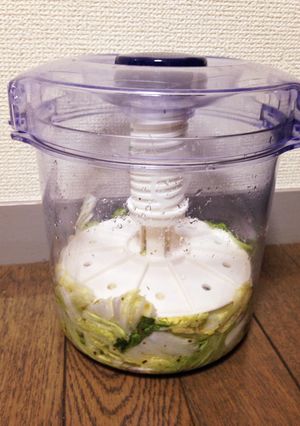 絶品！我が家の白菜漬け-レシピのメイン写真