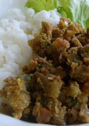 簡単♪ヘルシー♪おから入りドライカレー-レシピのメイン写真
