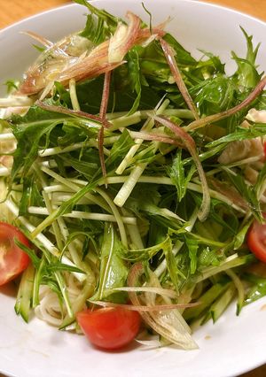サラダチキンと水菜の中華風ひやむぎ-レシピのメイン写真