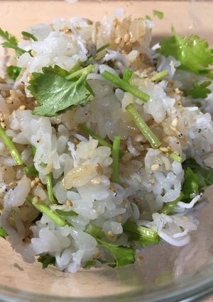 手抜きパクチーしらすご飯-レシピのメイン写真