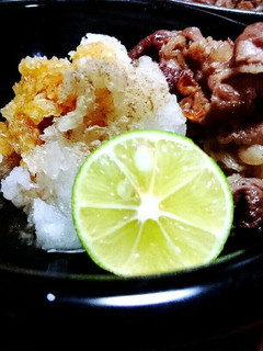 簡単☆節約☆ヘルシー焼き肉♪-レシピのメイン写真