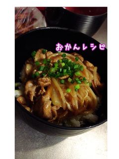 ご飯が美味しいガッツリ焼肉丼-レシピのメイン写真