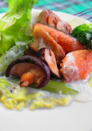 鮭と白菜セロリのミルク煮込みプレート-レシピのメイン写真
