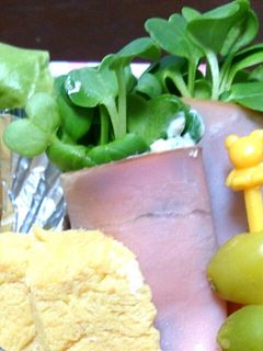貝割れ巻き(お弁当の隙間埋め、彩りに)-レシピのメイン写真