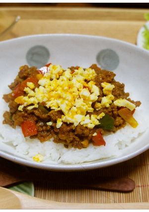 野菜ジュースで作るドライカレー-レシピのメイン写真