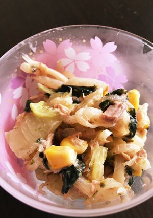 コレなら食べた！大根と白菜和風ツナサラダ-レシピのメイン写真