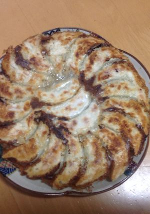 野菜たっぷりニンニク抜き餃子-レシピのメイン写真