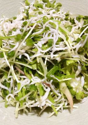 貝割れ茗荷しらす、和薬味たっぷりサラダ-レシピのメイン写真