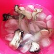 簡単 さっぱり牡蠣おつまみ