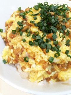 簡単5分*ふんわり納豆オムレツ丼-レシピのメイン写真