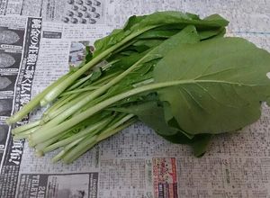 ★ズボラ必見★ほうれん草小松菜の簡単保存-レシピのメイン写真