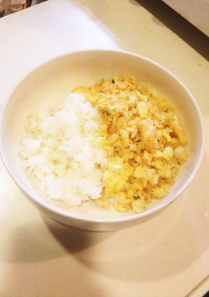 炒飯2色丼-レシピのメイン写真