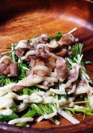 レンジで楽チン！鶏肉のおつまみサラダ-レシピのメイン写真