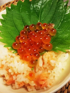 親子な鮭ご飯♪-レシピのメイン写真