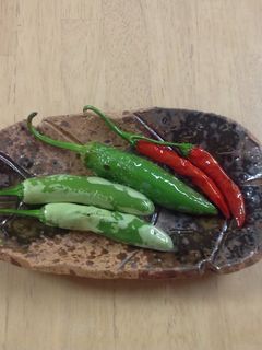 韓国獅子唐の素揚げ-レシピのメイン写真