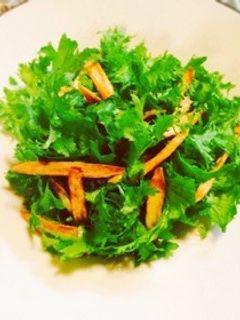 揚げごぼうとわさび菜のサラダ-レシピのメイン写真