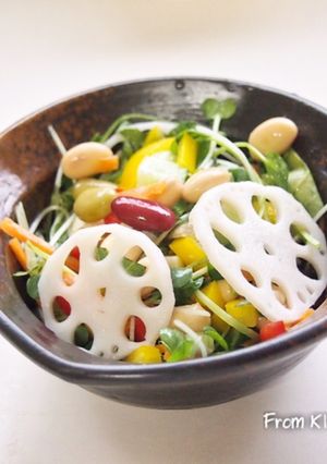 10品目のサラダ♪ for ダイエット-レシピのメイン写真