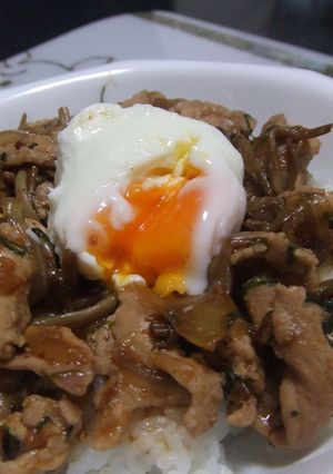 簡単✿10分でできる豚丼-レシピのメイン写真