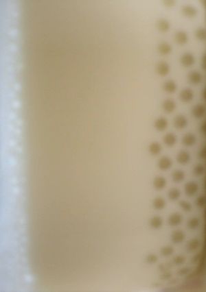 タピオカココナッツミルク　　-レシピのメイン写真