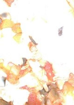 ミートソース 缶の簡単ラザニア-レシピのメイン写真