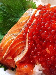 漬けサーモンといくら丼-レシピのメイン写真